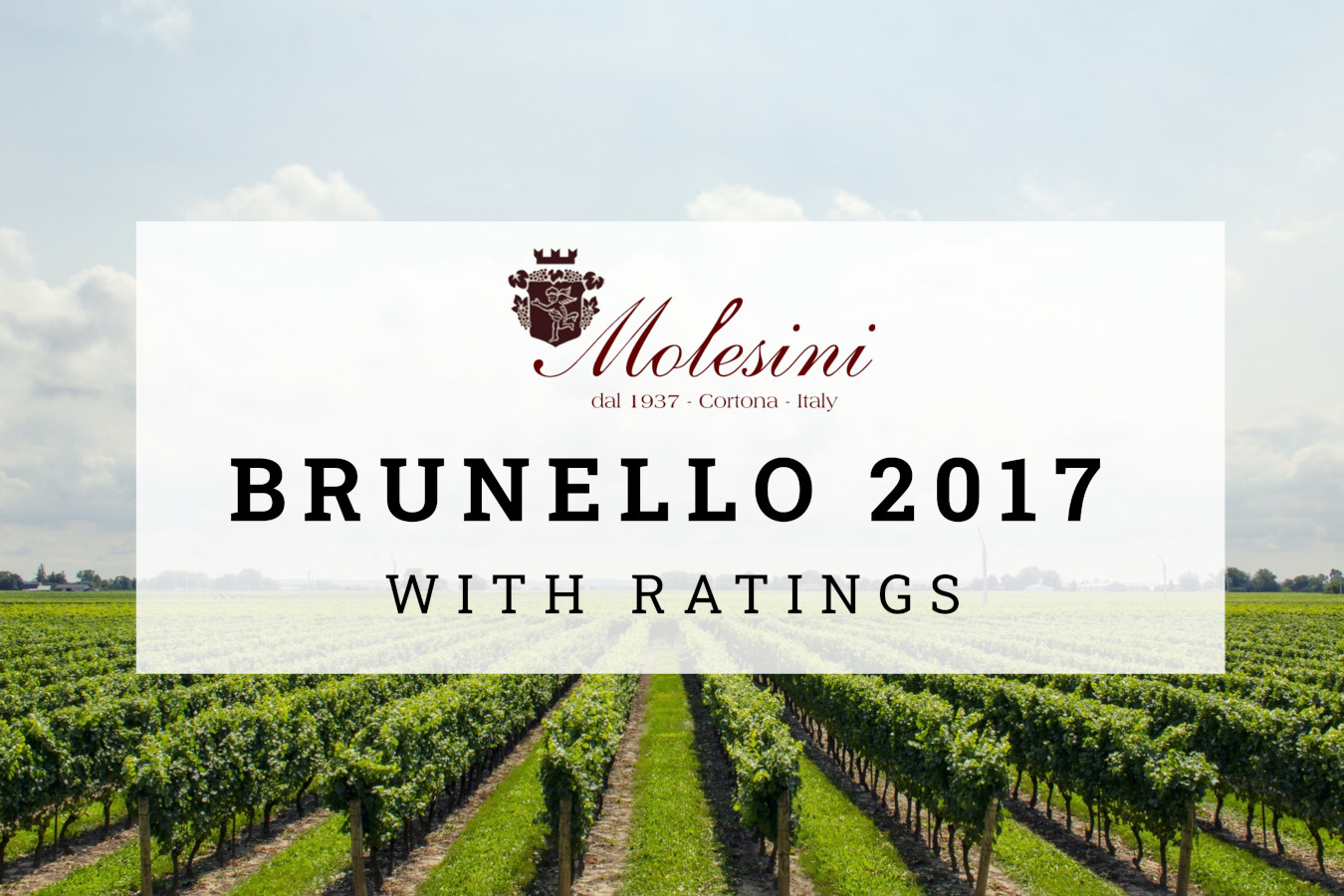 Brunello 2017 Offer